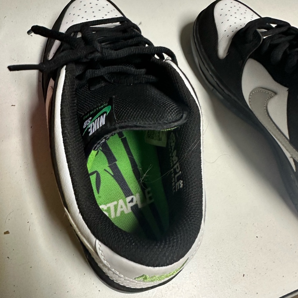 Pigeon Dunks - Picture 8 of 10